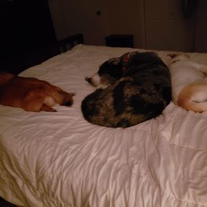 Meet your Posher, Missy